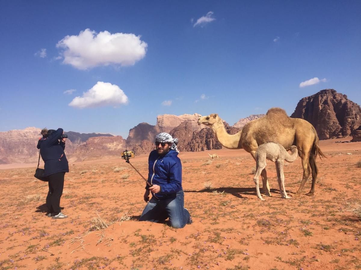 Desert Shine Camp Вади Рум Екстериор снимка
